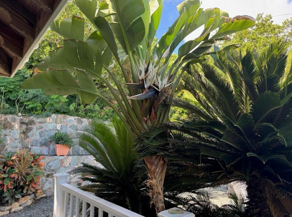 Blue Pearl Villa In St John Usvi Coral Bay Exterior foto